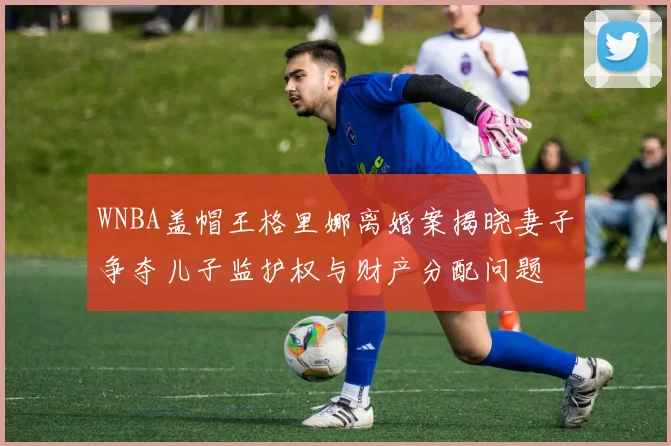 WNBA盖帽王格里娜离婚案揭晓妻子争夺儿子监护权与财产分配问题