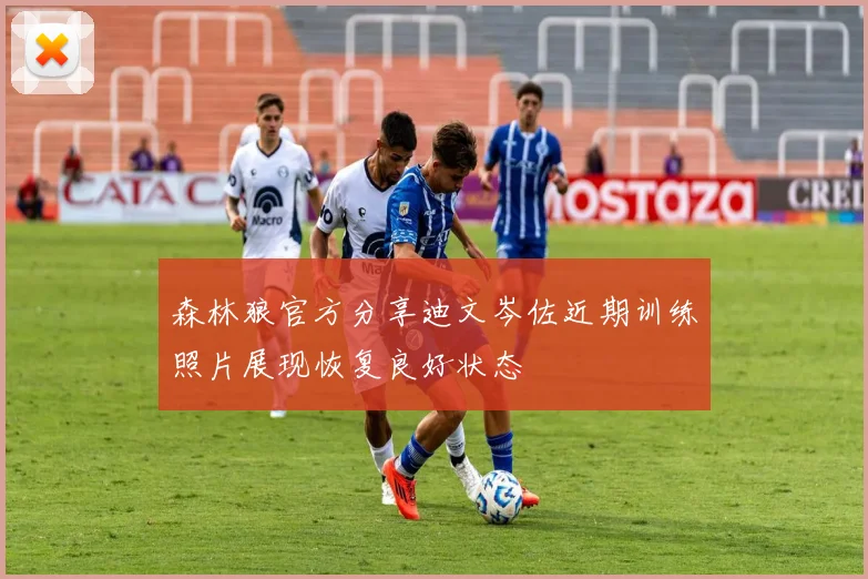 森林狼官方分享迪文岑佐近期训练照片展现恢复良好状态