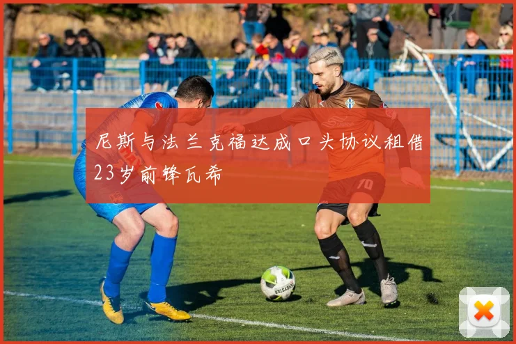 尼斯与法兰克福达成口头协议租借23岁前锋瓦希